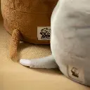 z6942557560767_fdd70009f766f1bbe0f9174de5ce576f.webp
