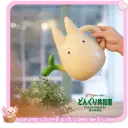 [HÀNG CHÍNH HÃNG] Bình Tưới Cây Totoro Ghibli Chính Hãng Donguri Republic, Dụng Cụ Làm Vườn Trang Trí Dễ Thương 1L