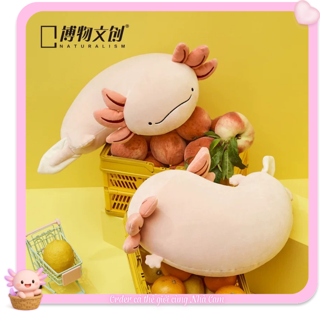[HÀNG CHÍNH HÃNG] Gấu Bông Kỳ Giông Axolotl Khủng Long 6 Sừng 28cm, Hàng Chính Hãng Viện Bảo Tàng Địa Lý Quốc Gia, Tạp Quá Nhà Cam