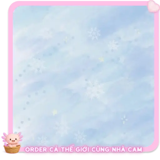 GIẤY GÓI QUÀ - MS03